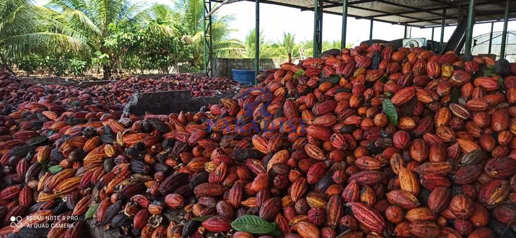 Fazenda, 1855 m² - Foto 3