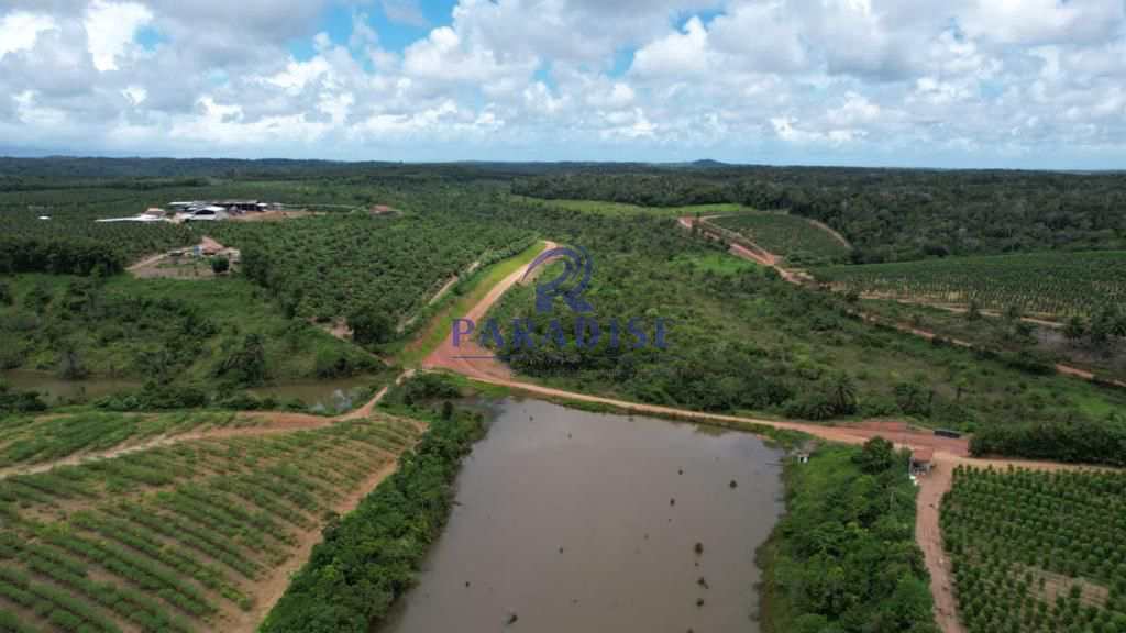 Fazenda, 1855 m² - Foto 5