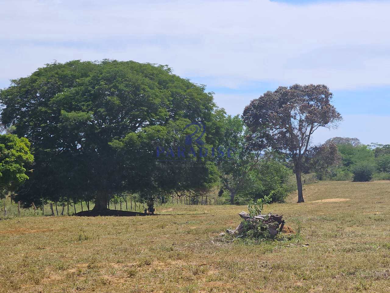 Fazenda, 387 m² - Foto 5