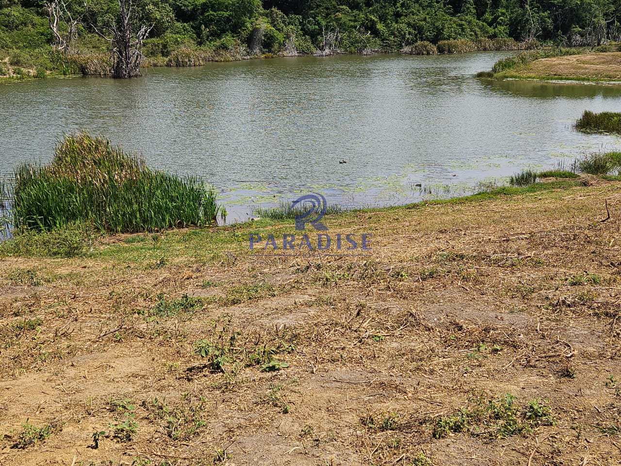 Fazenda, 387 m² - Foto 2