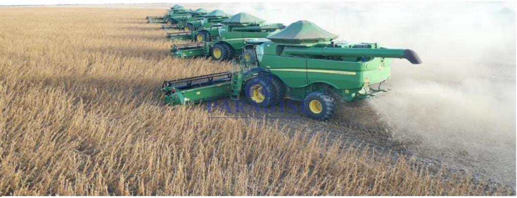 Fazenda, 6 hectares - Foto 4