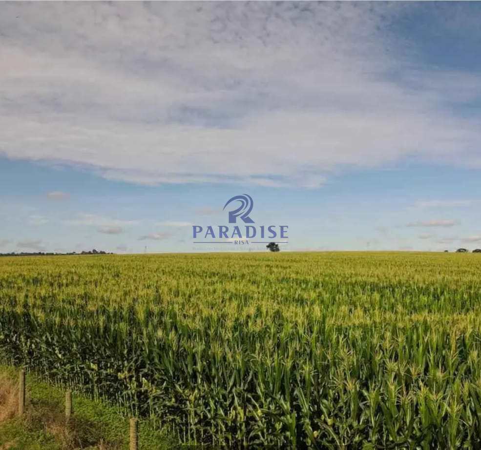 Fazenda, 2052 m² - Foto 3