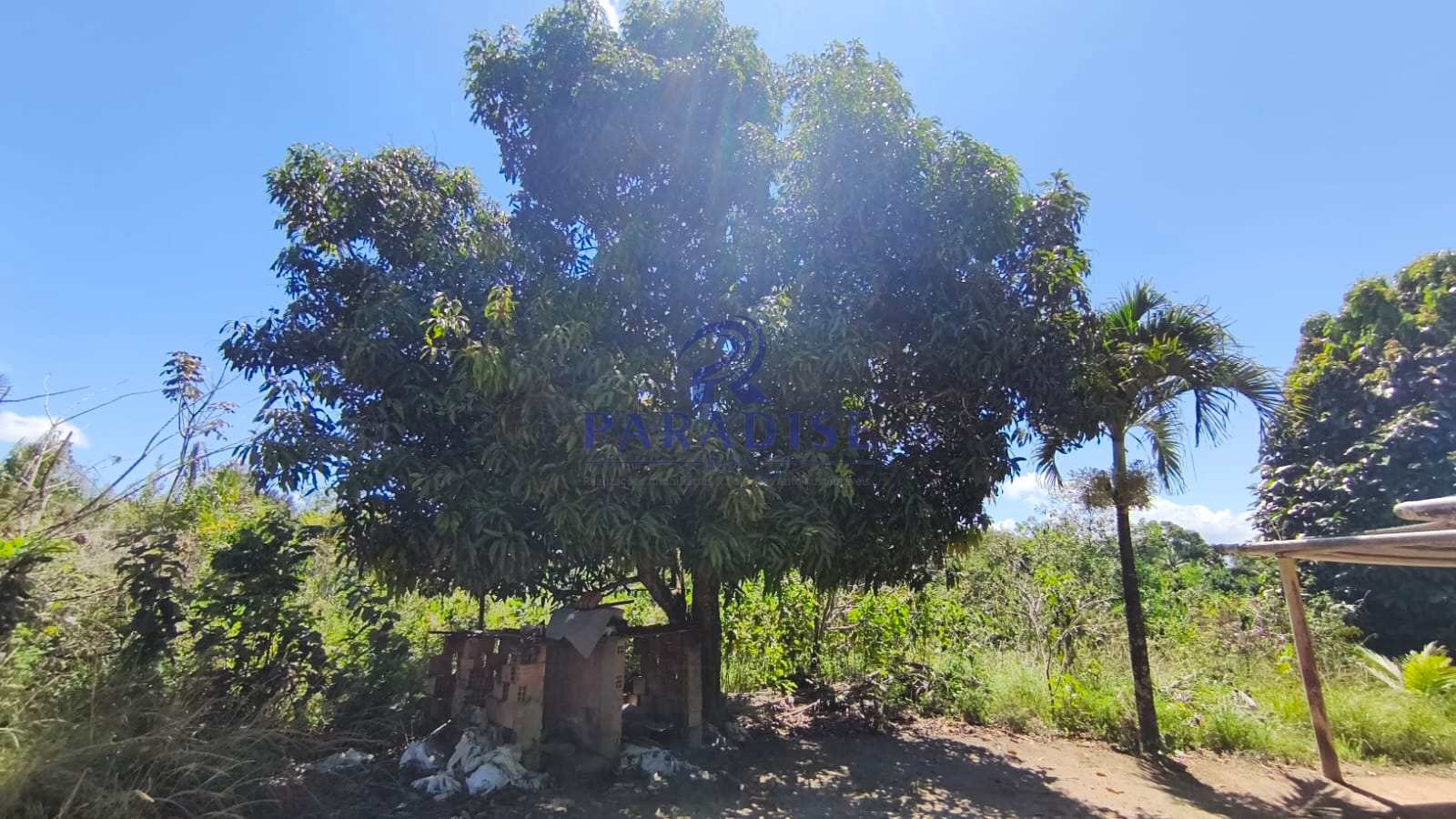 Chácara, 1 hectares - Foto 3