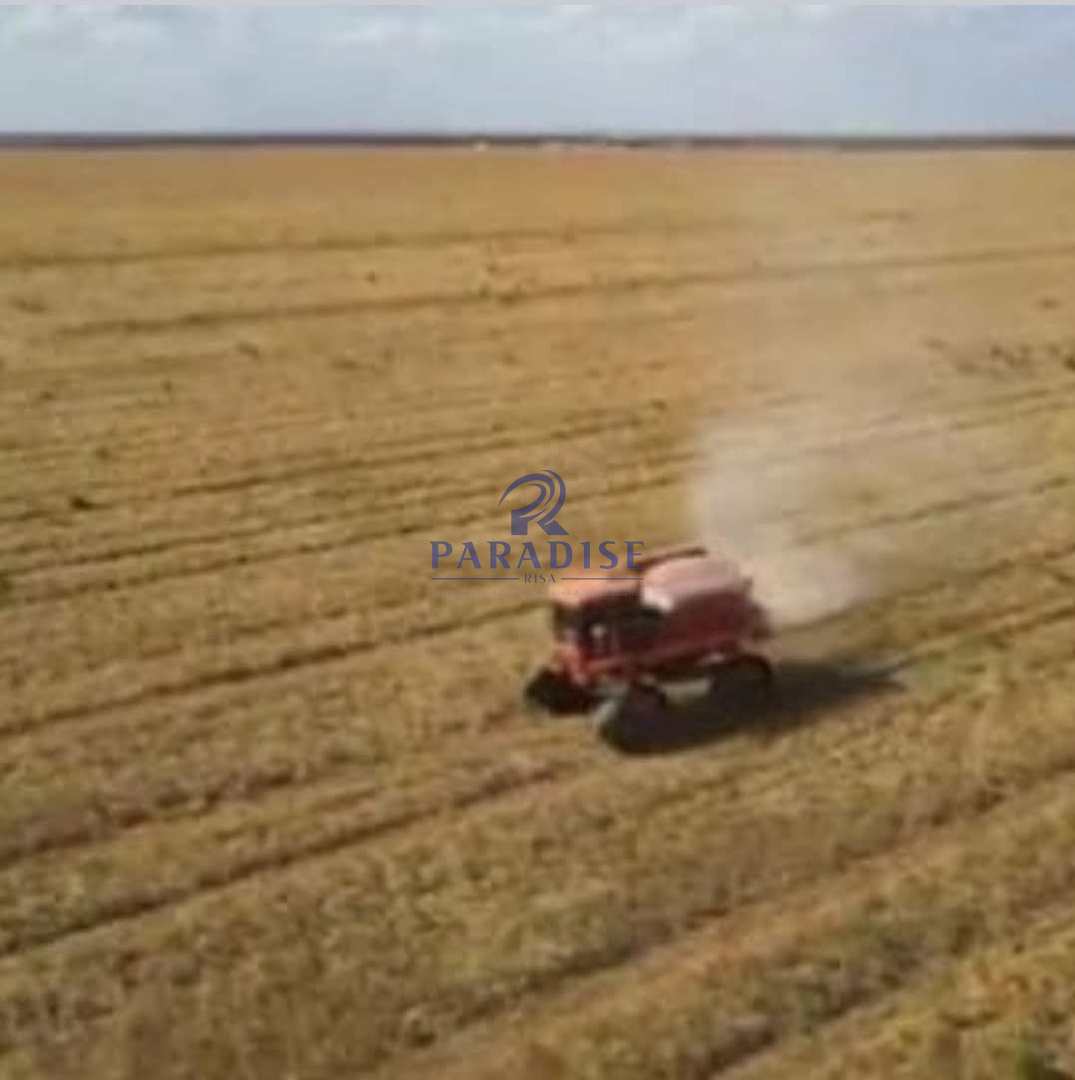 Fazenda, 4 hectares - Foto 5