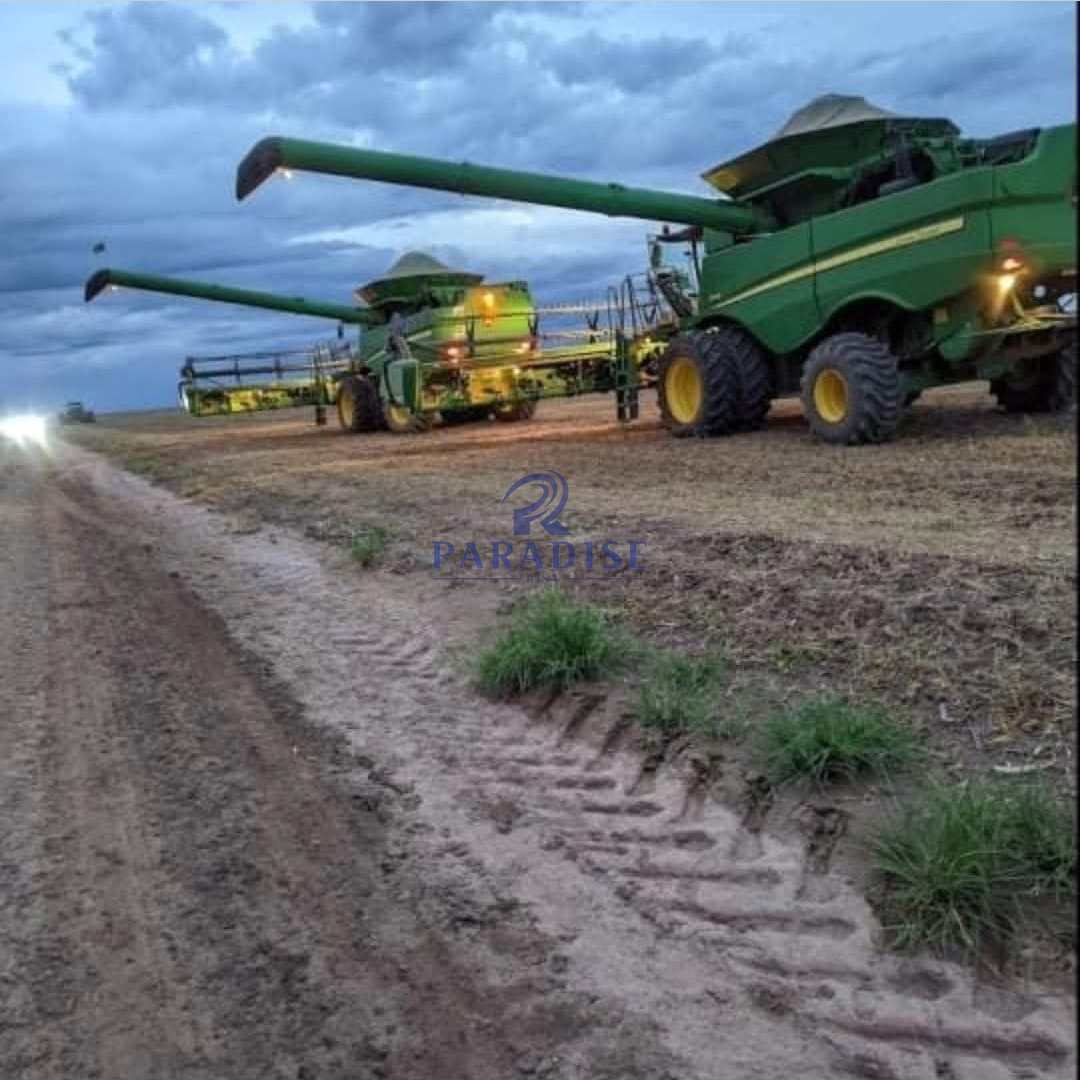 Fazenda, 4 hectares - Foto 3