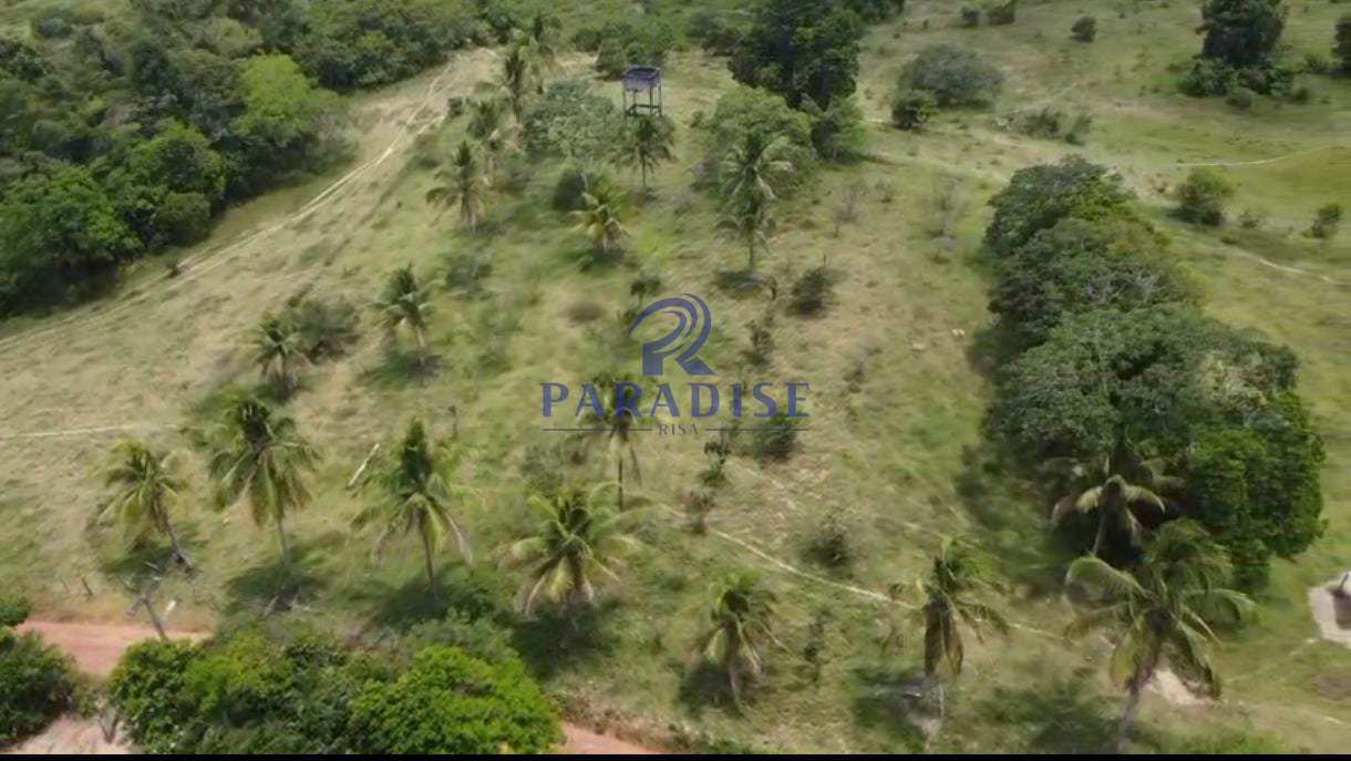 Fazenda, 60 m² - Foto 2