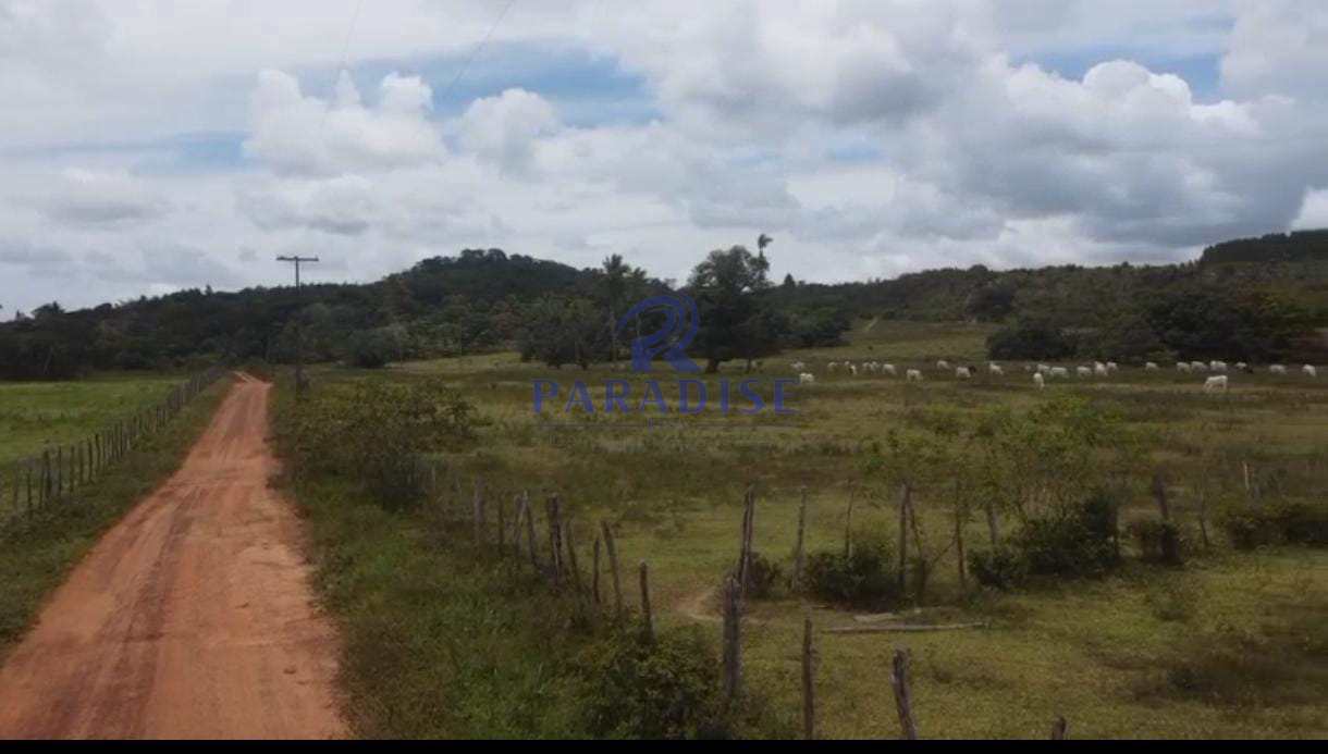 Fazenda, 60 m² - Foto 4