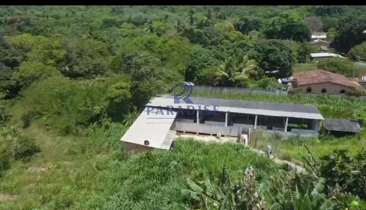 Chácara, 3 quartos, 6700 m² - Foto 4