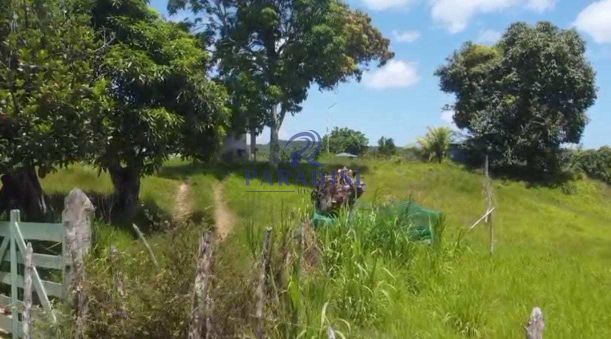 Chácara, 3 quartos, 6700 m² - Foto 5