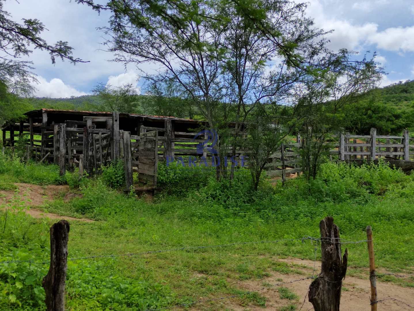 Fazenda, 1013 m² - Foto 5