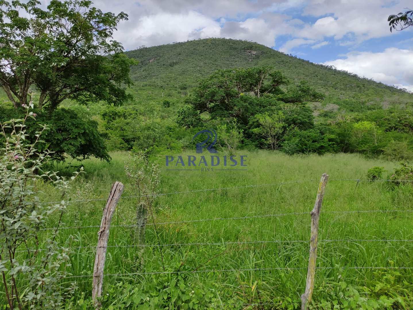 Fazenda, 1013 m² - Foto 2