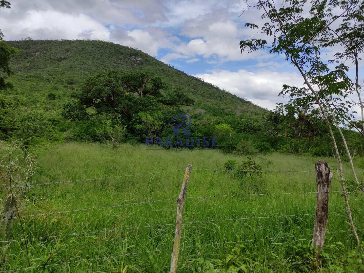 Fazenda, 1013 m² - Foto 4