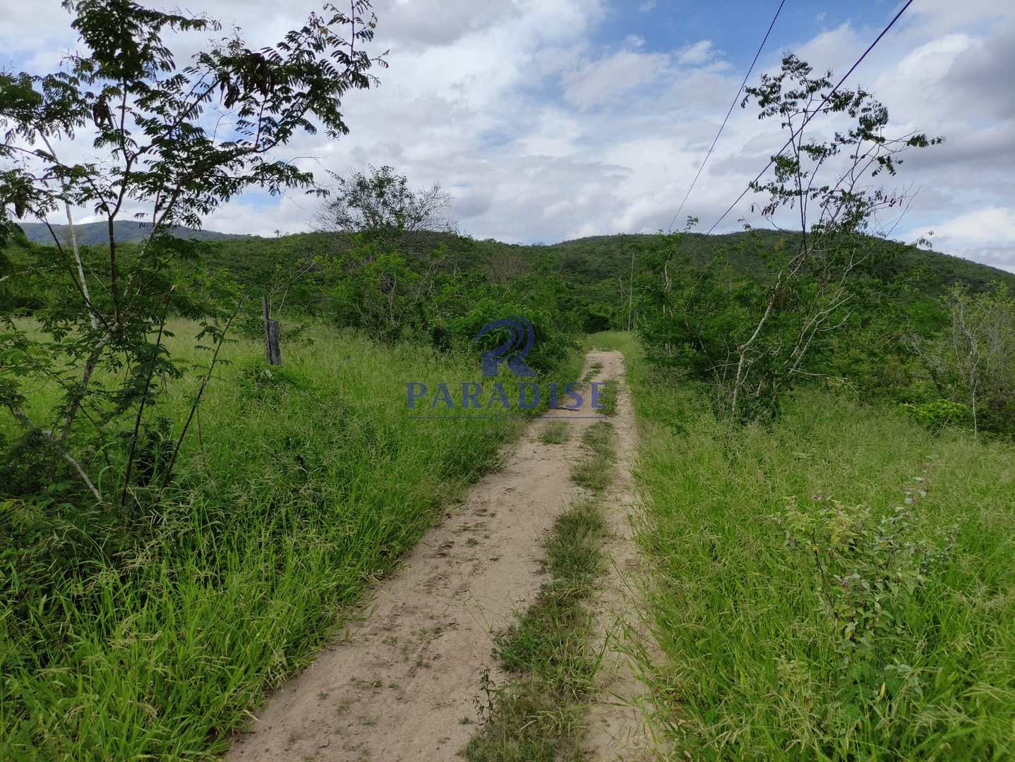 Fazenda, 1013 m² - Foto 1