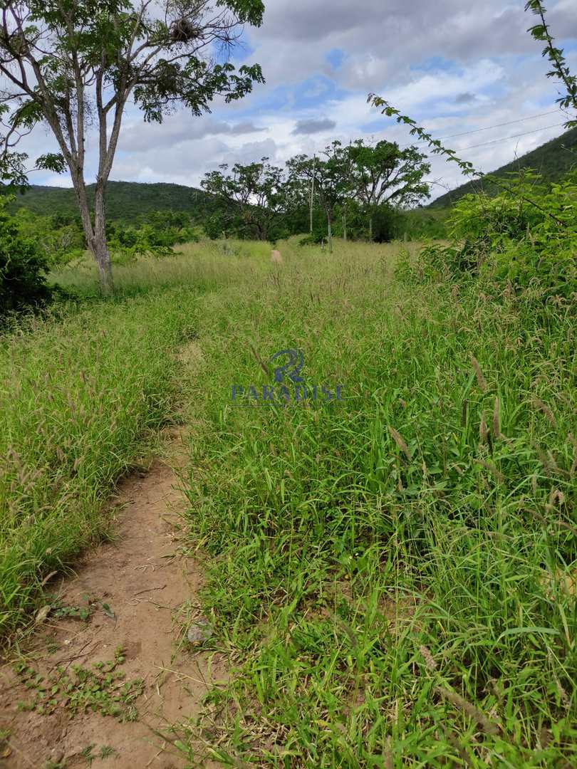 Fazenda, 1013 m² - Foto 3