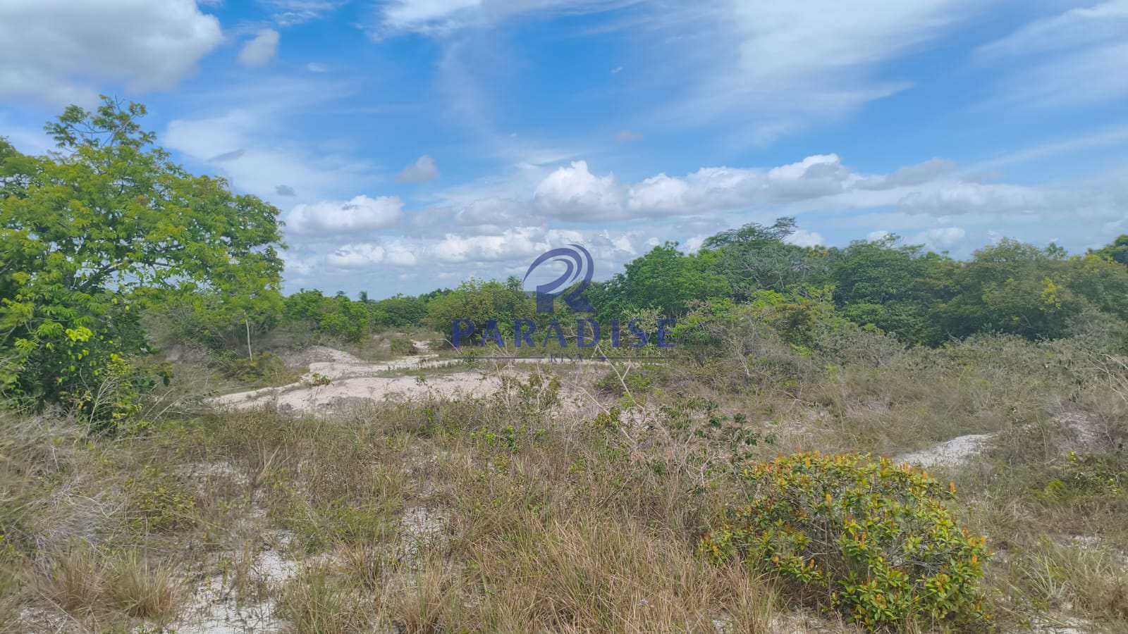 Terreno, 54 hectares - Foto 22