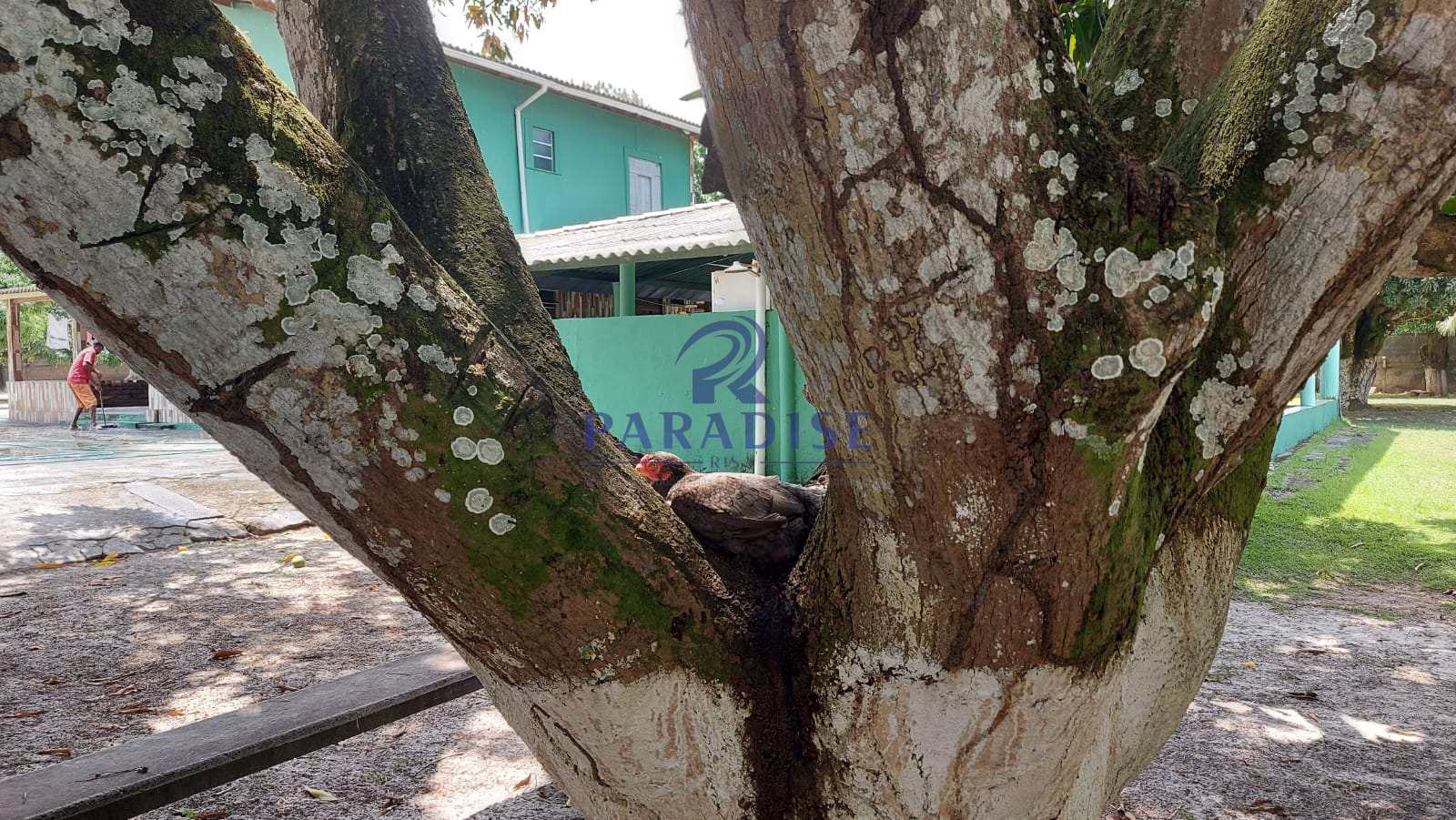 Sítio, 6800 m² - Foto 5