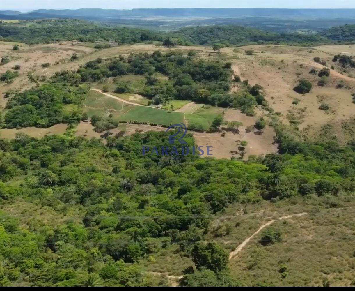 Fazenda, 41 m² - Foto 4