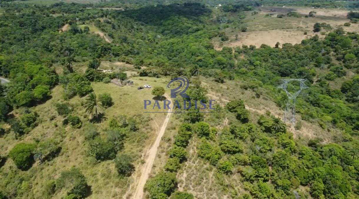 Fazenda, 41 m² - Foto 5