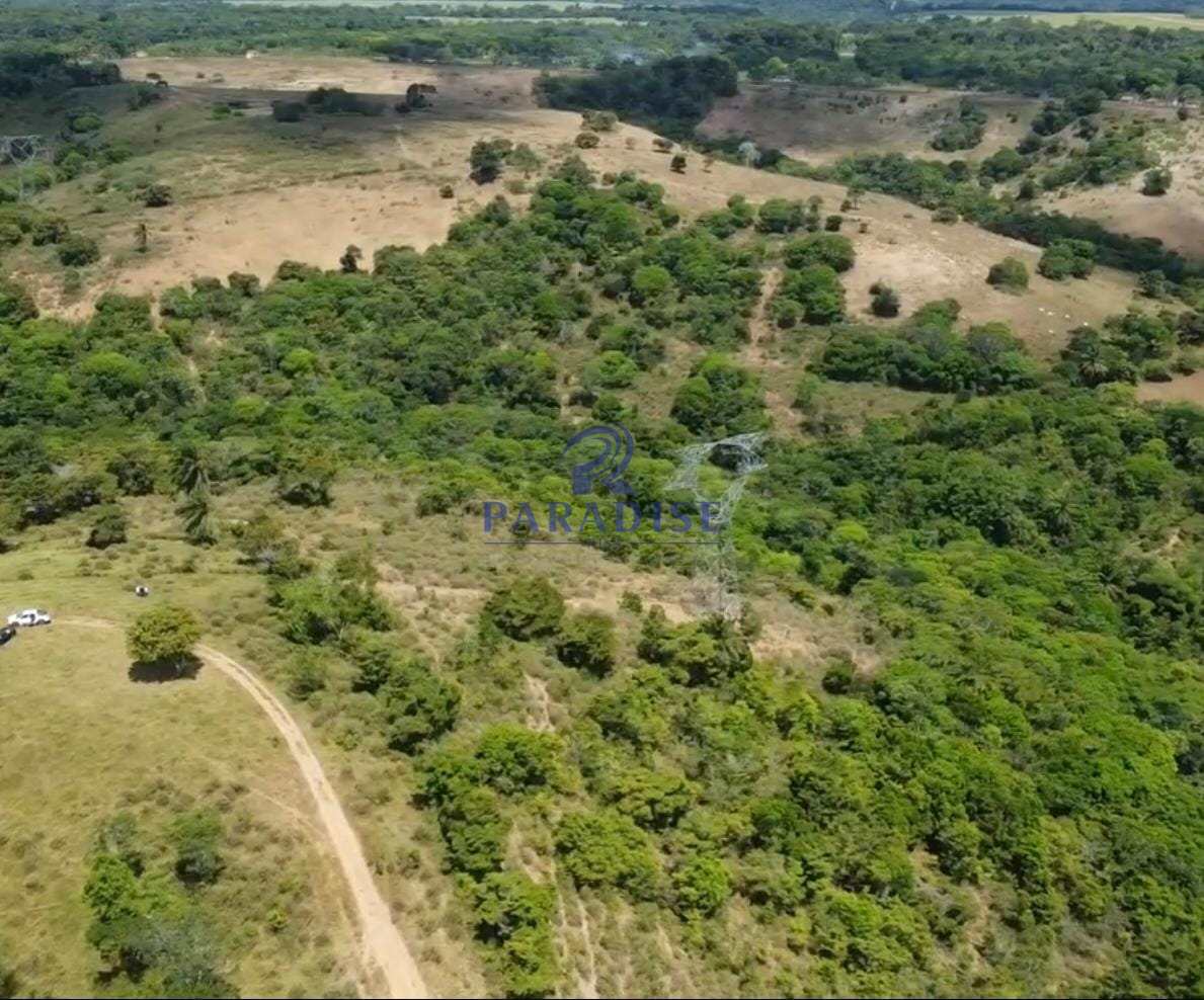 Fazenda, 41 m² - Foto 3