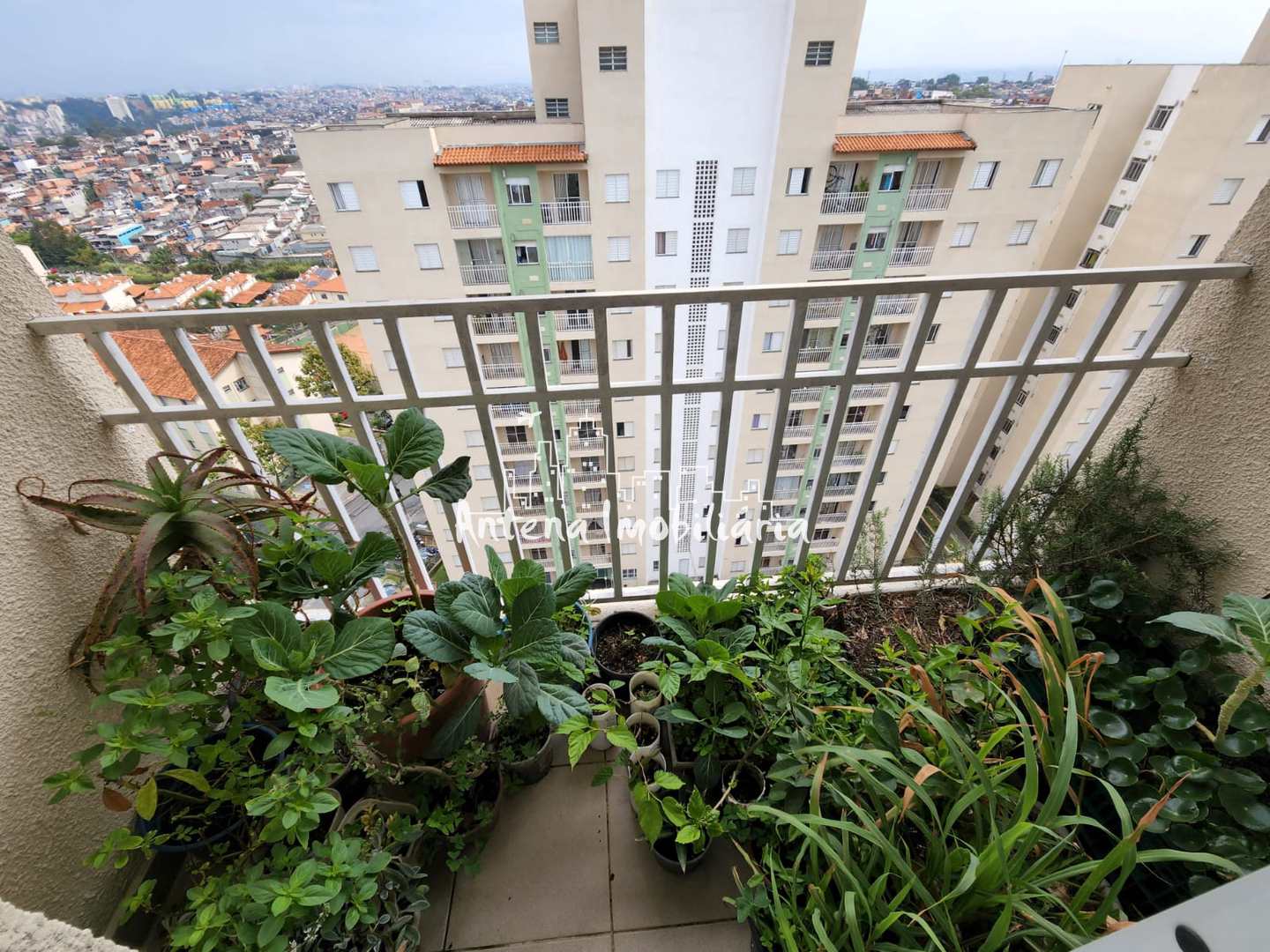 Apartamento à venda com 3 quartos, 56m² - Foto 3