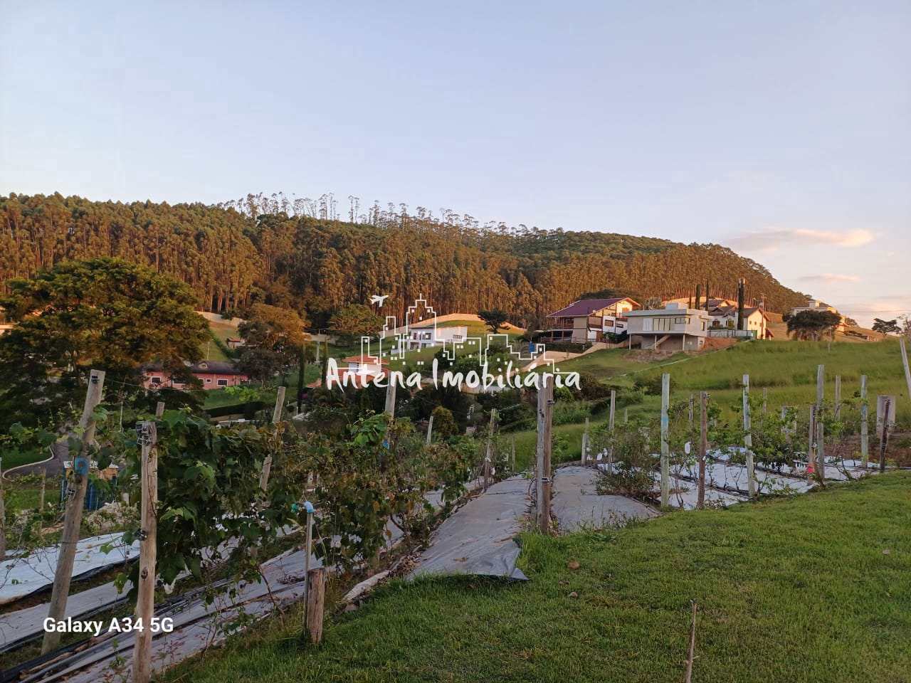 Terreno à venda, 1600m² - Foto 10