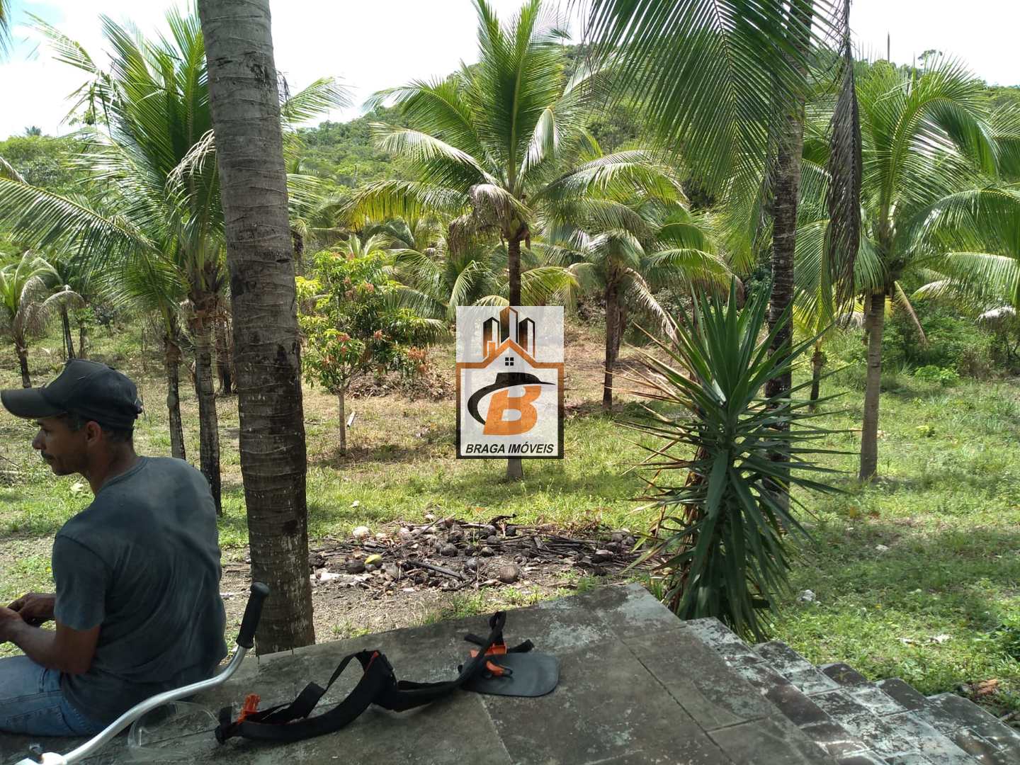 Fazenda à venda com 3 quartos, 60000m² - Foto 5