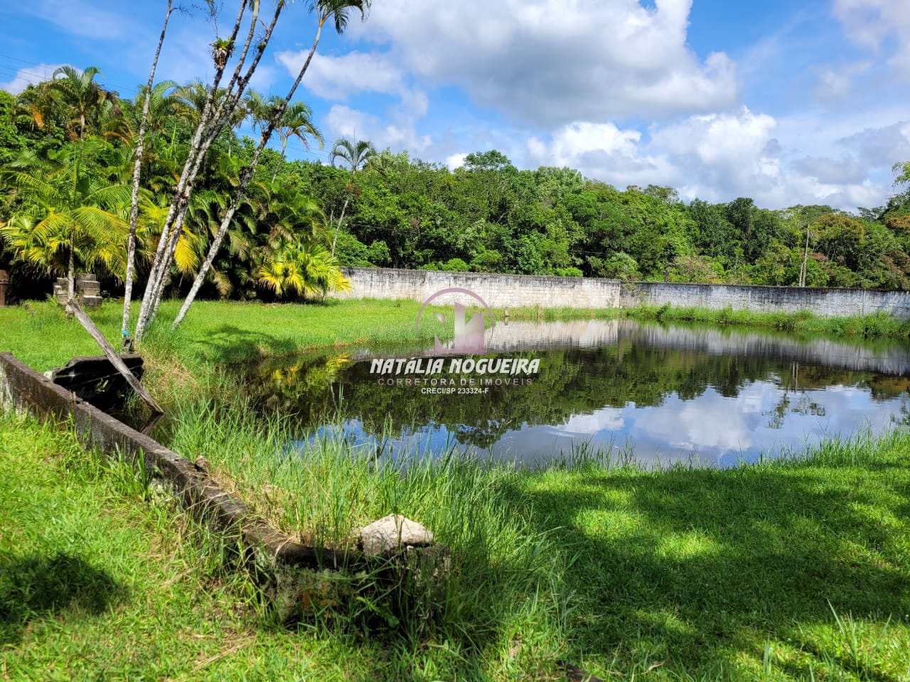 Fazenda à venda com 2 quartos, 6000m² - Foto 8