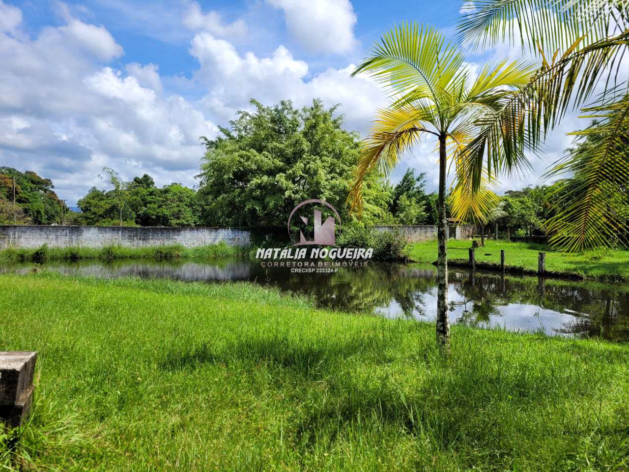 Fazenda à venda com 2 quartos, 6000m² - Foto 10