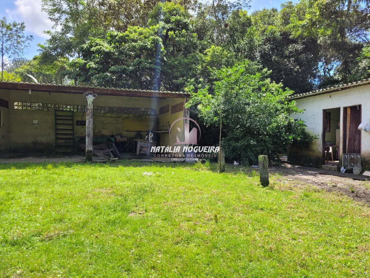 Fazenda à venda com 2 quartos, 6000m² - Foto 4