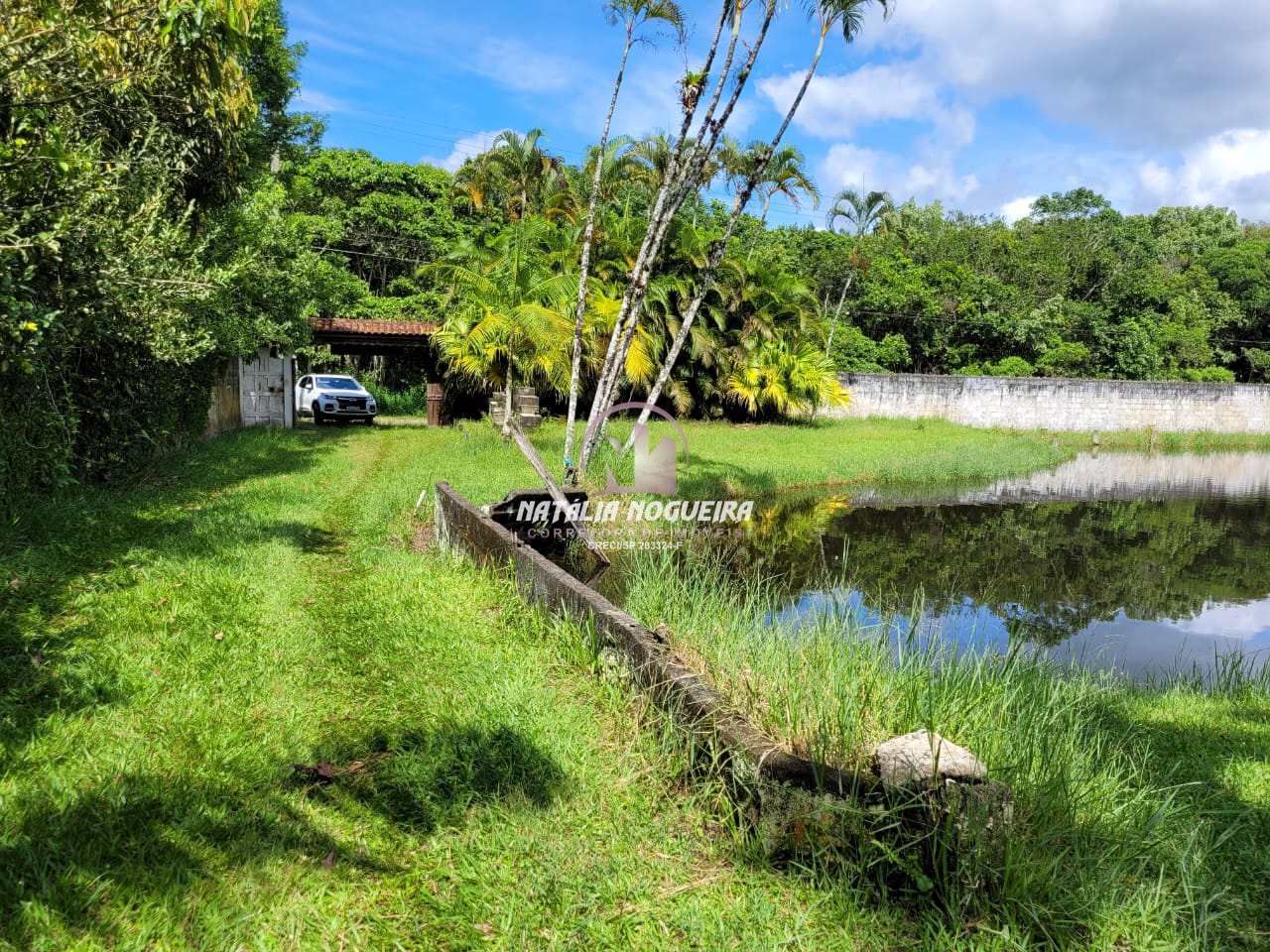 Fazenda à venda com 2 quartos, 6000m² - Foto 7