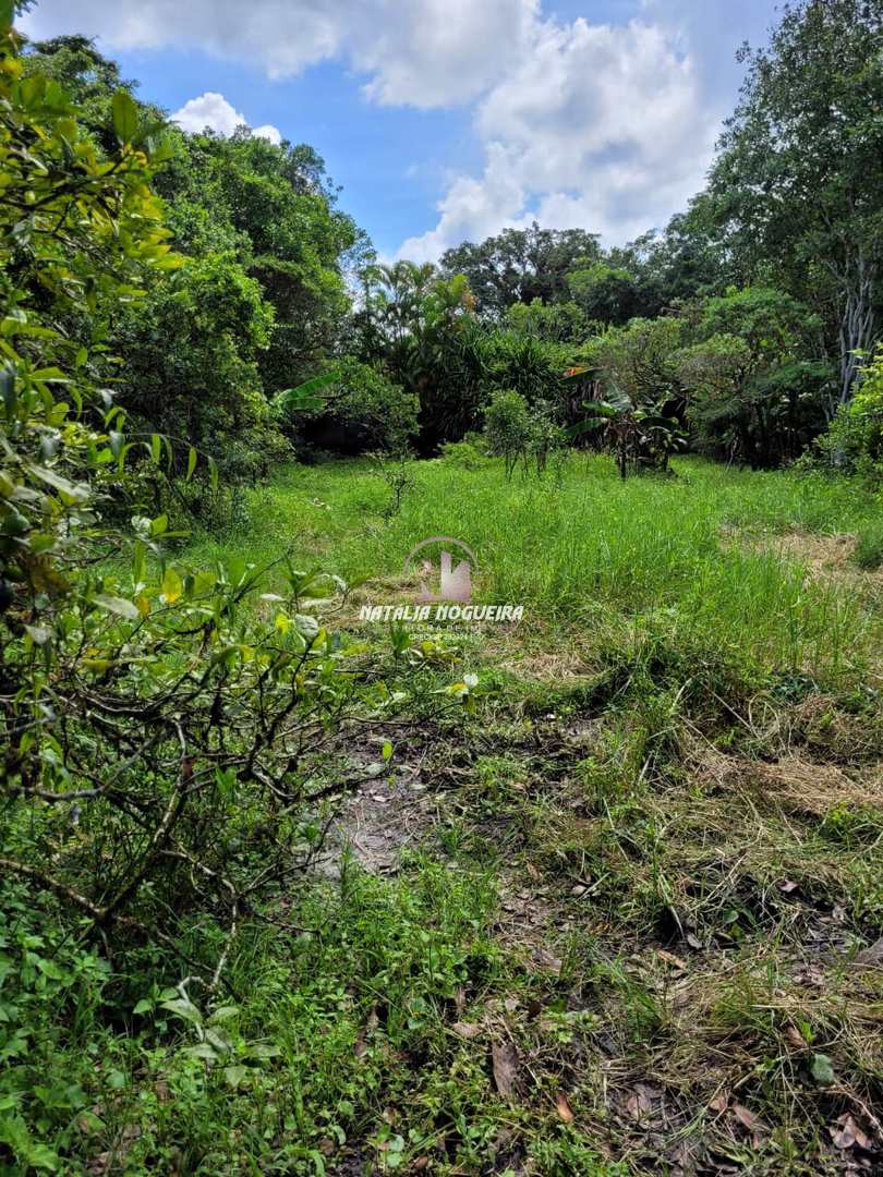 Fazenda à venda com 2 quartos, 6000m² - Foto 15