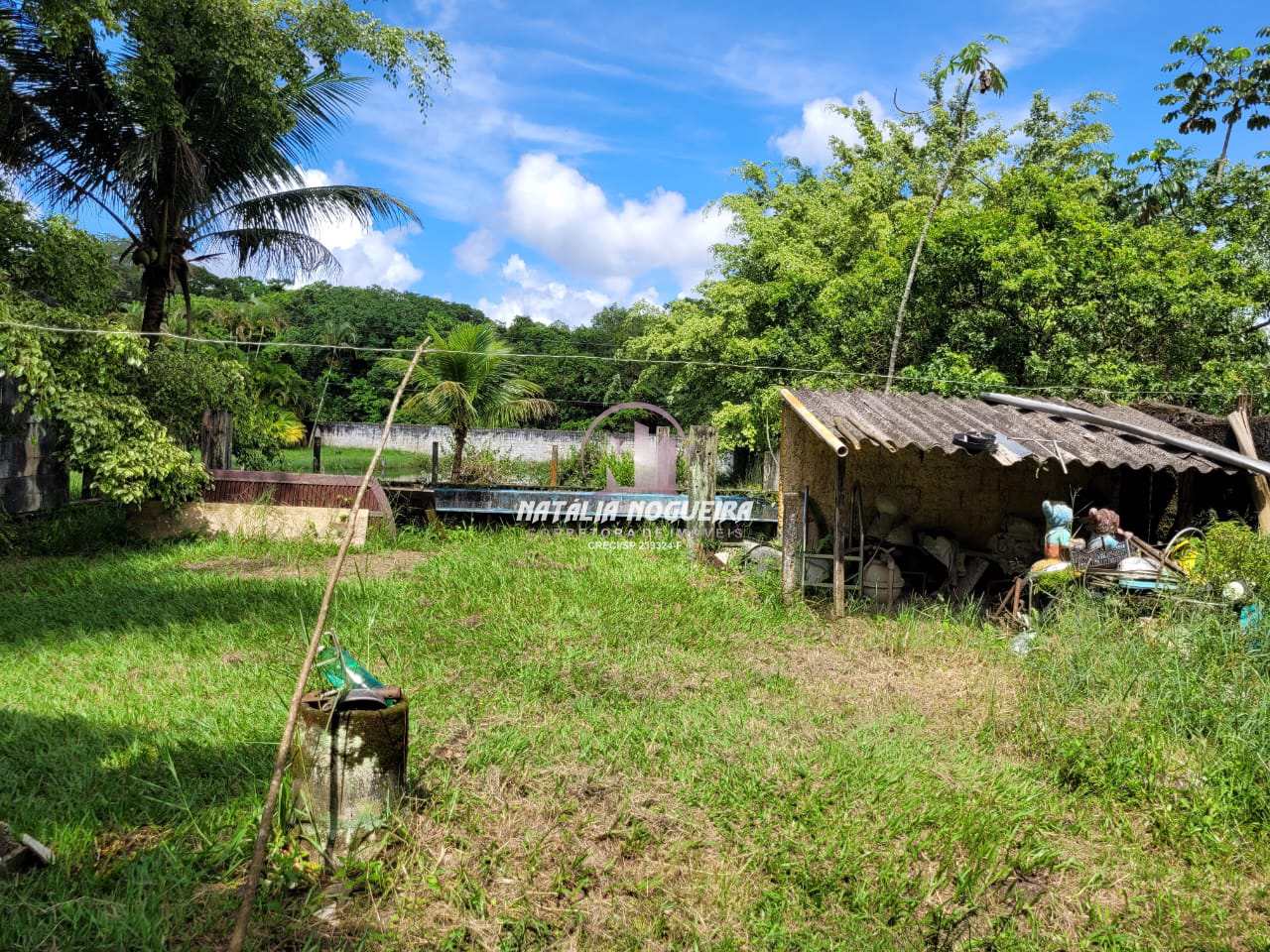 Fazenda à venda com 2 quartos, 6000m² - Foto 3