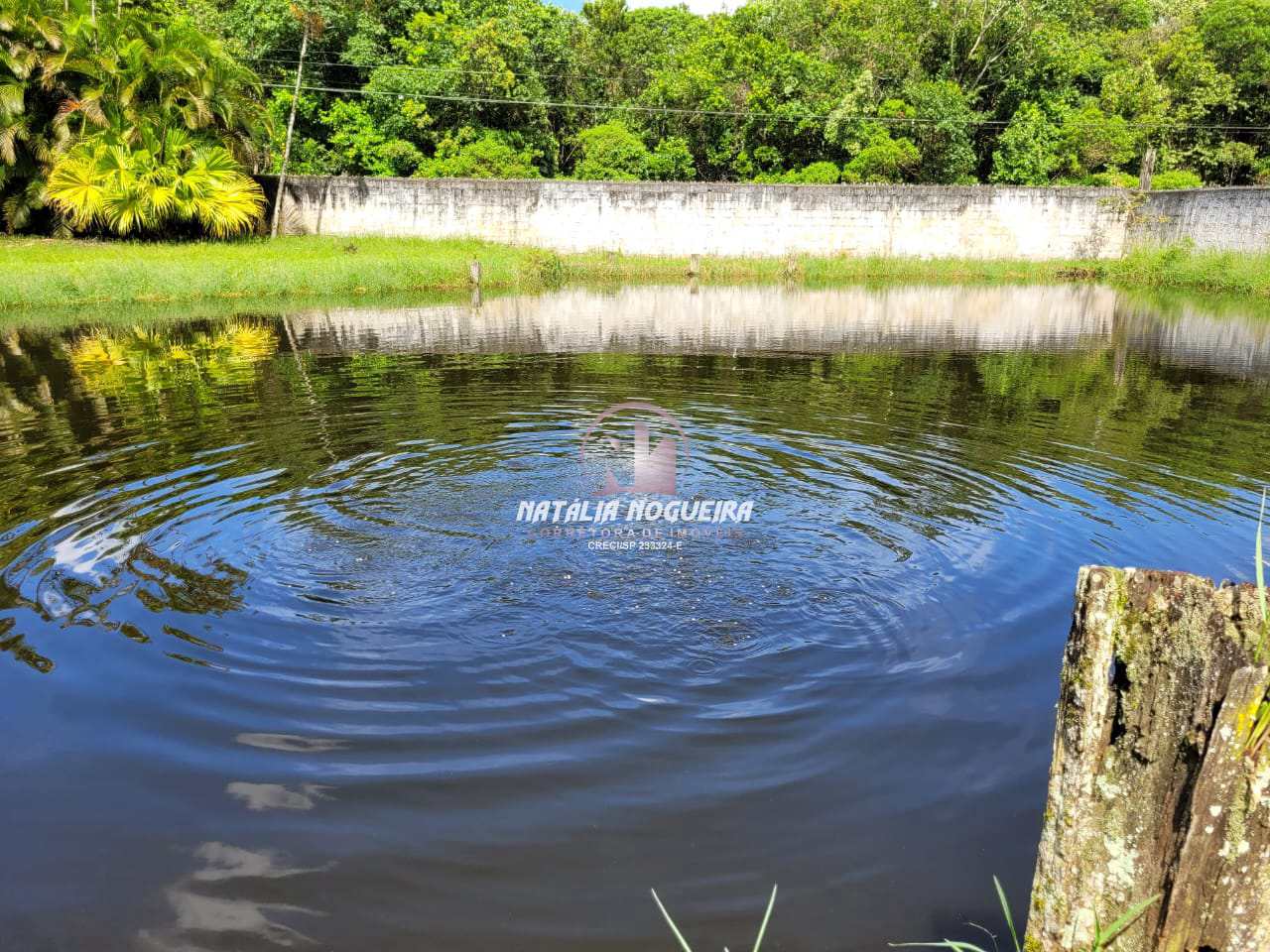 Fazenda à venda com 2 quartos, 6000m² - Foto 9