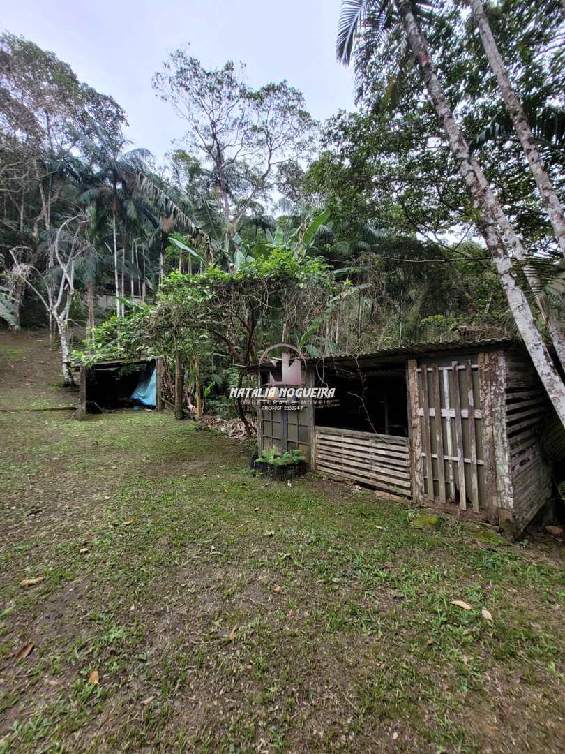 Fazenda à venda com 2 quartos, 5600m² - Foto 37