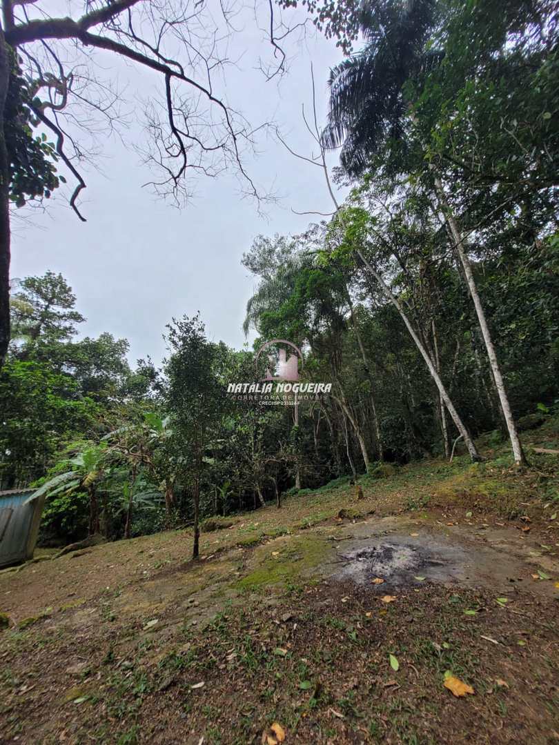 Fazenda à venda com 2 quartos, 5600m² - Foto 31