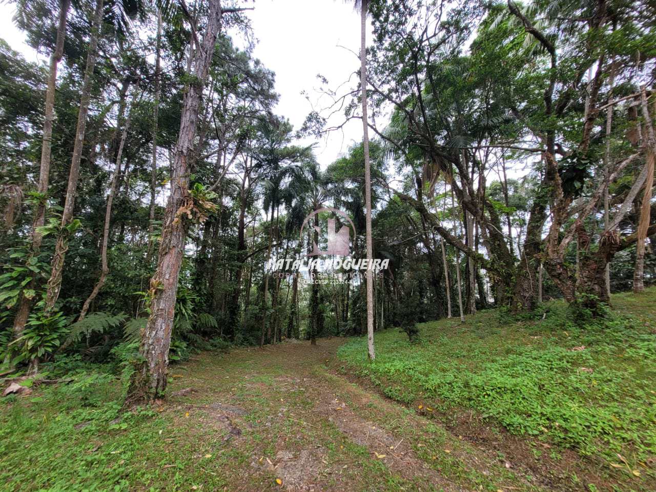 Fazenda à venda com 2 quartos, 5600m² - Foto 41