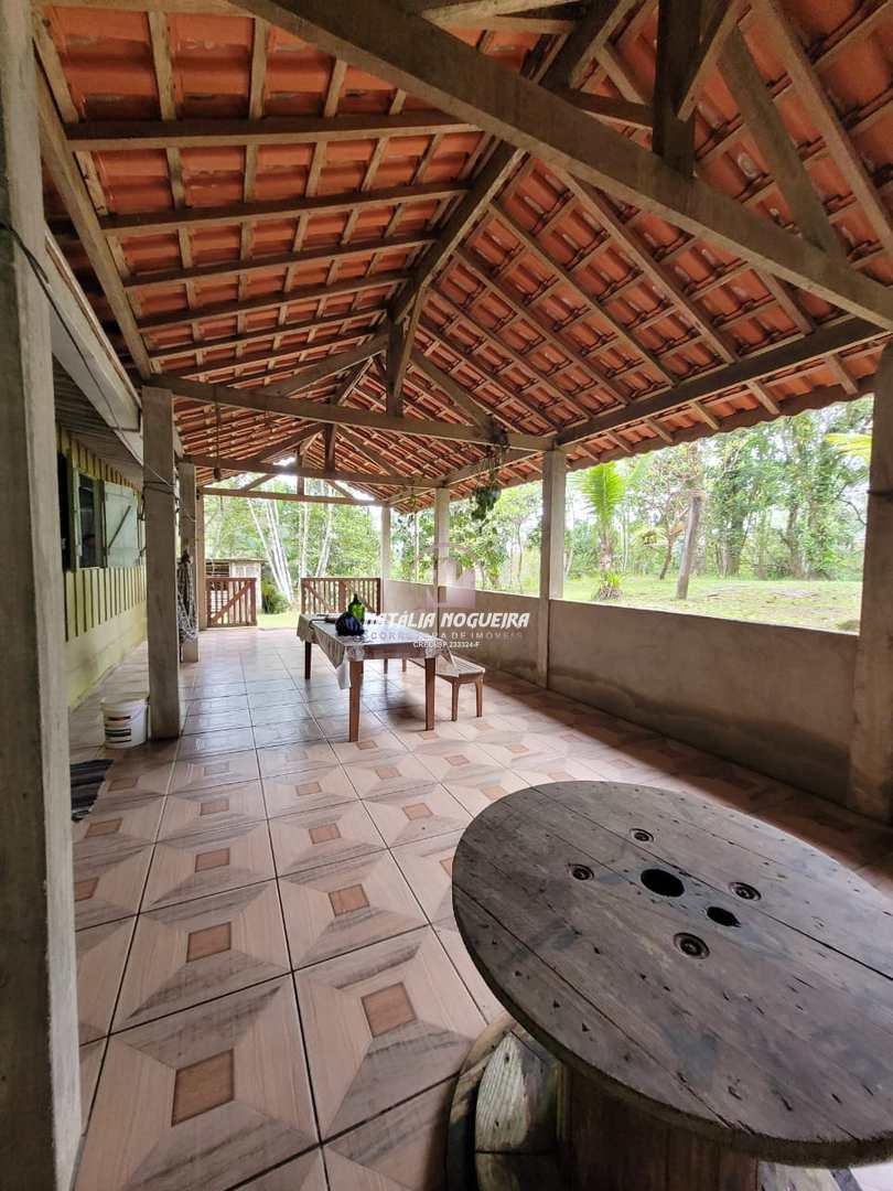 Fazenda à venda com 2 quartos, 5600m² - Foto 4