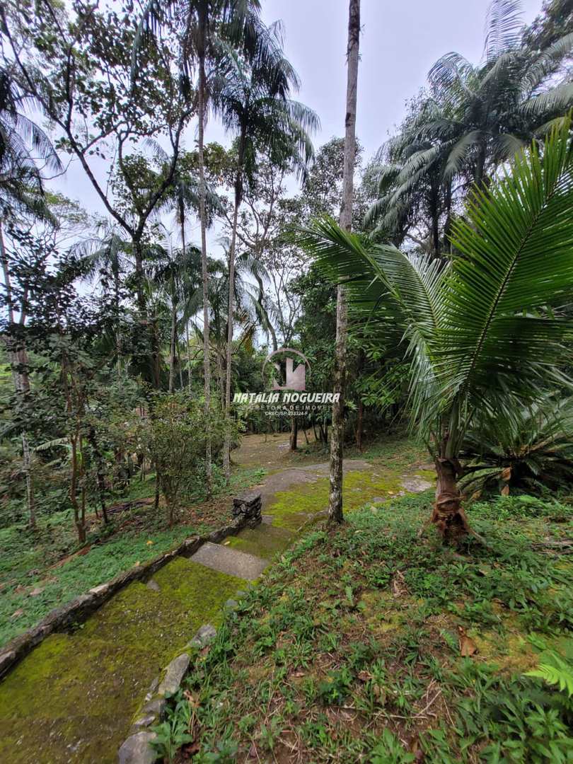 Fazenda à venda com 2 quartos, 5600m² - Foto 25