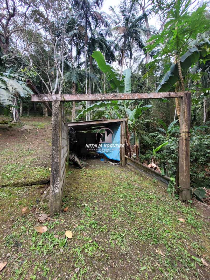 Fazenda à venda com 2 quartos, 5600m² - Foto 34