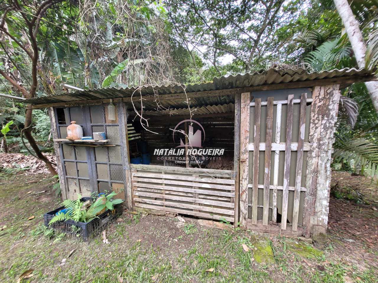 Fazenda à venda com 2 quartos, 5600m² - Foto 36