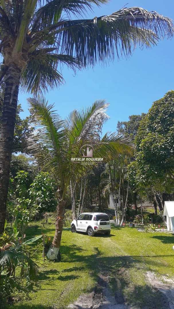 Fazenda à venda com 3 quartos, 3000m² - Foto 1