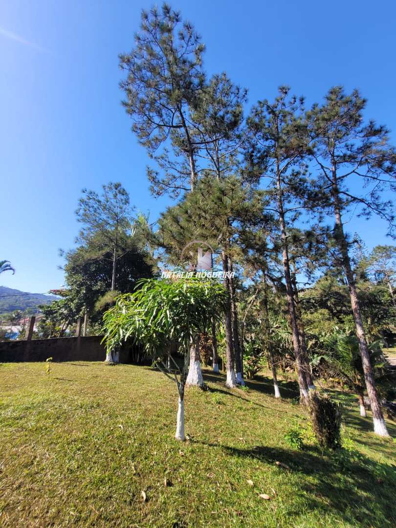 Fazenda à venda com 6 quartos, 4500m² - Foto 33