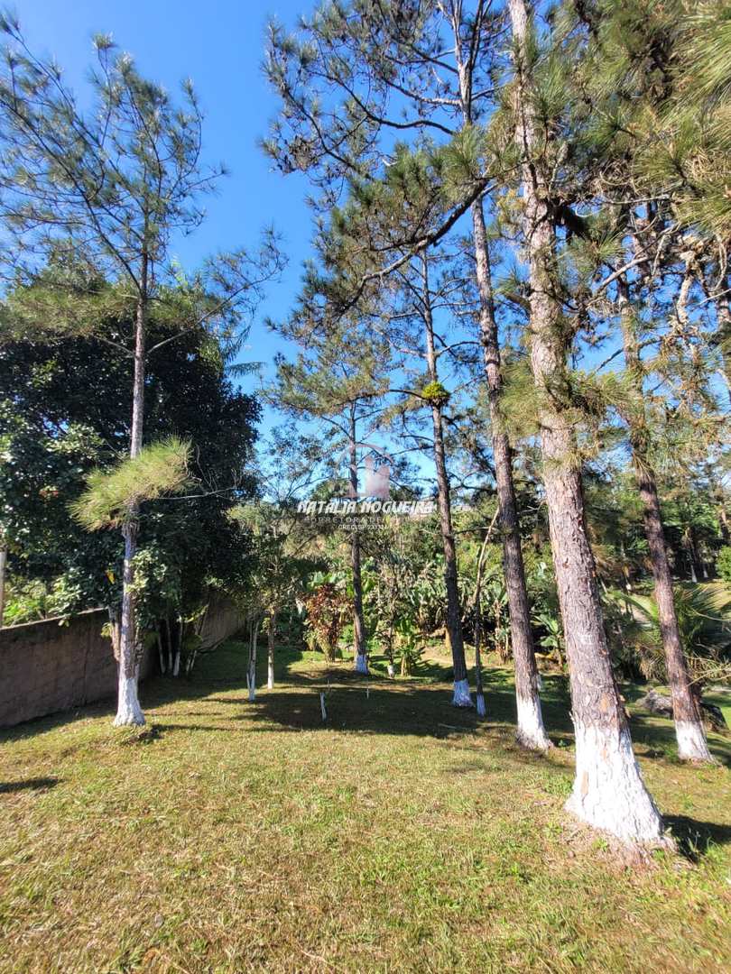 Fazenda à venda com 6 quartos, 4500m² - Foto 35