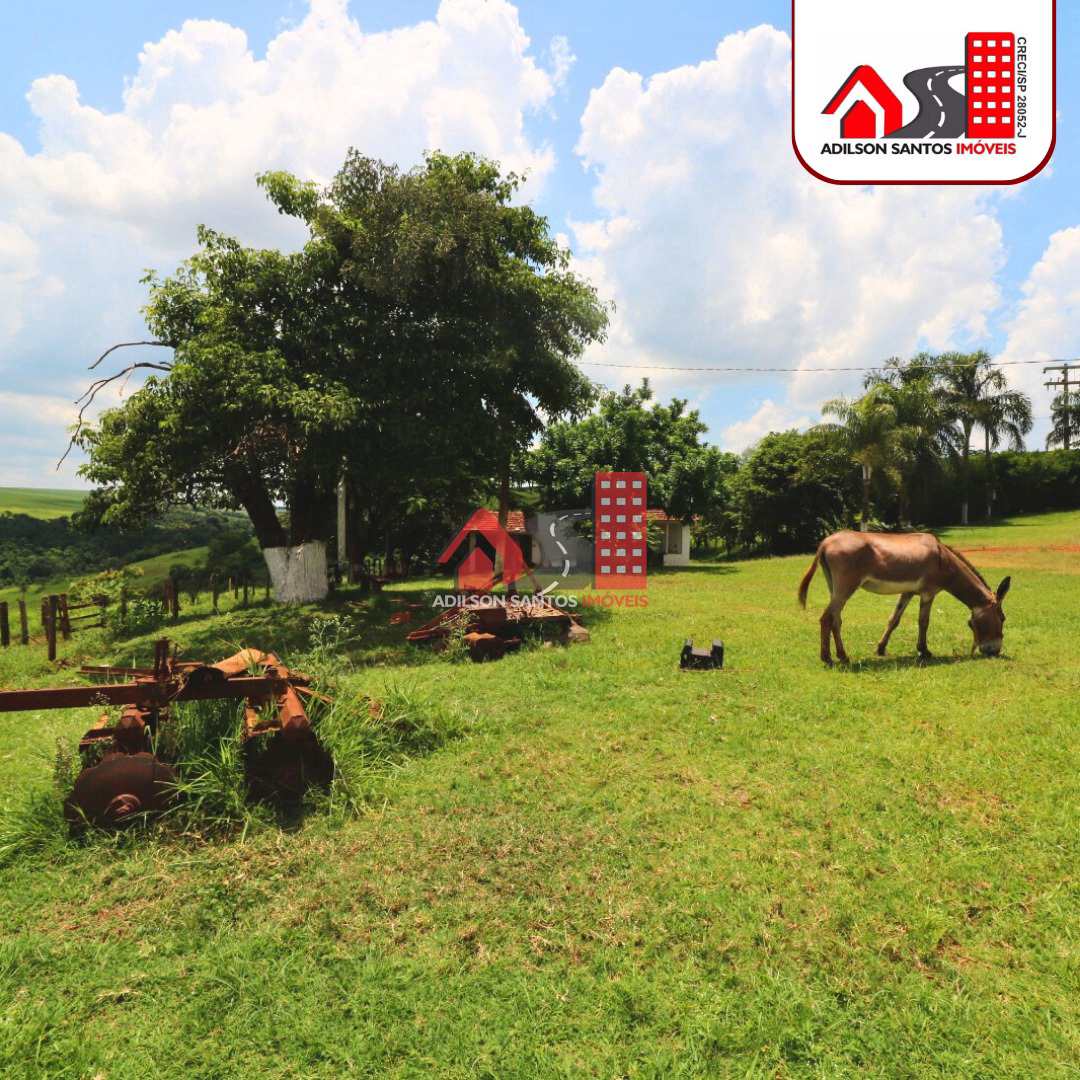 Fazenda à venda com 2 quartos, 15m² - Foto 7