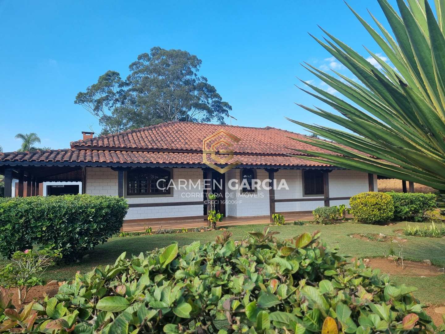 Fazenda à venda com 4 quartos, 3900m² - Foto 2