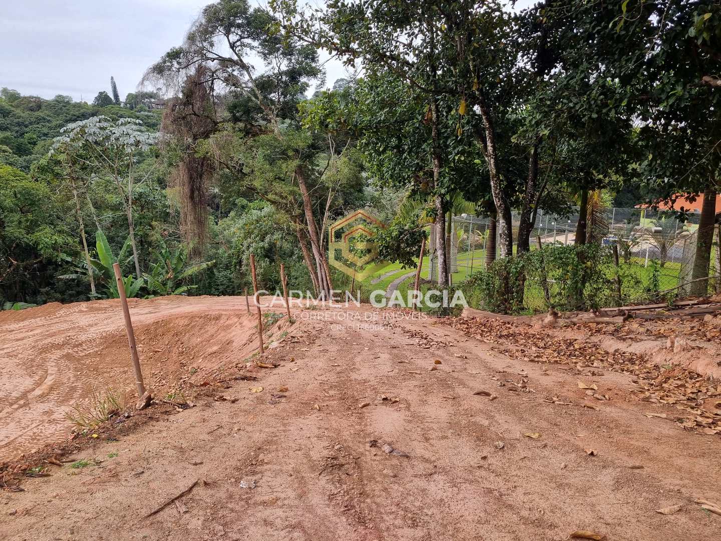 Terreno à venda, 4000m² - Foto 3