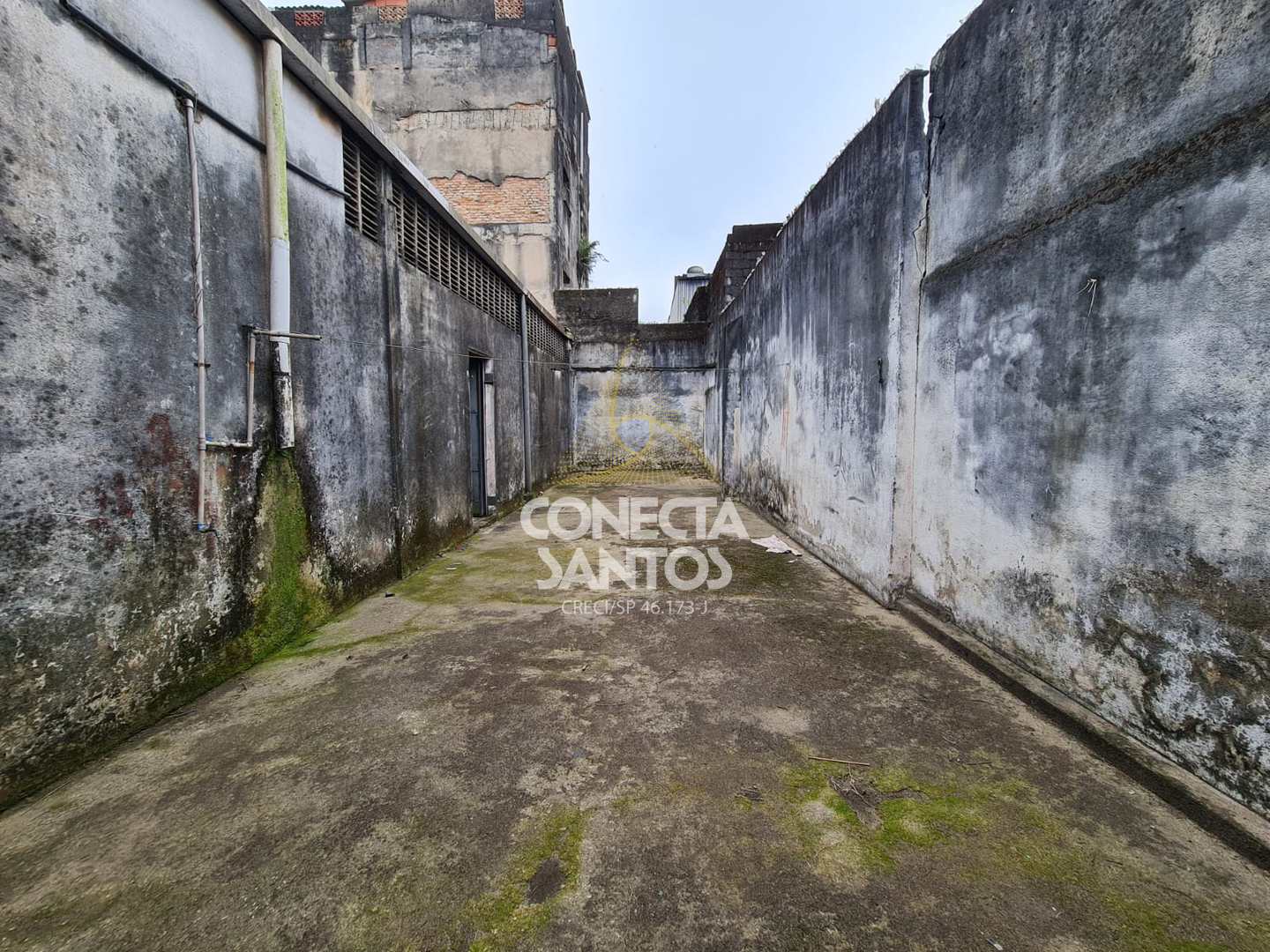 Depósito-Galpão-Armazém à venda e aluguel, 2000m² - Foto 25