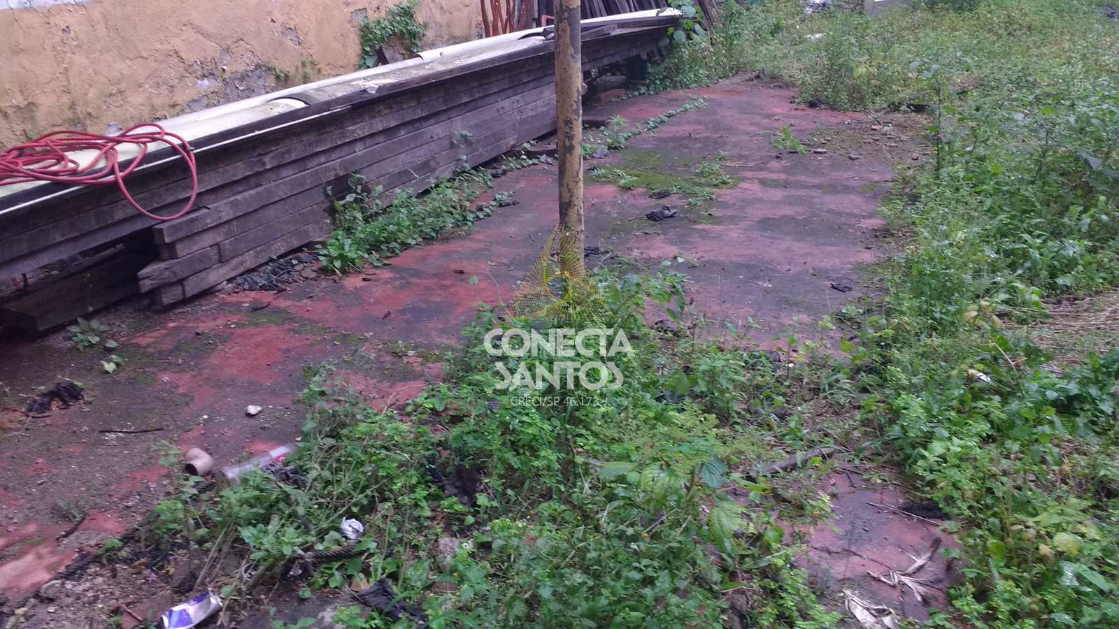 Loteamento e Condomínio à venda e aluguel, 1098m² - Foto 14