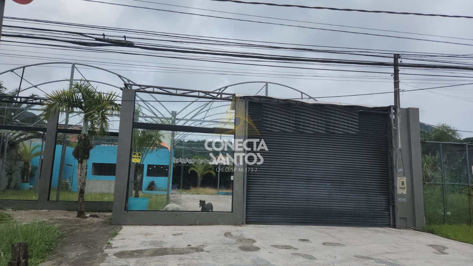 Loja-Salão para alugar, 800m² - Foto 5