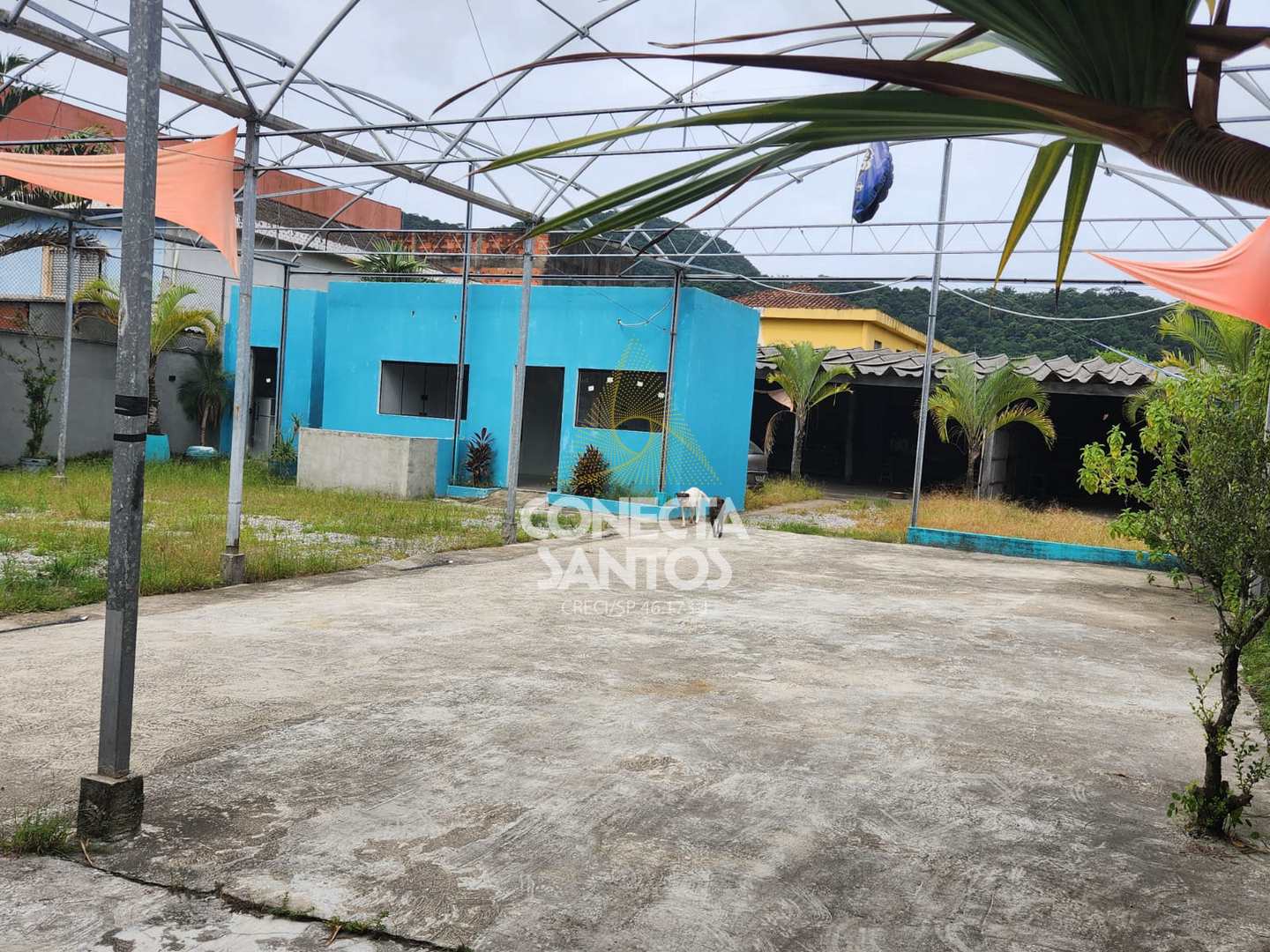 Loja-Salão para alugar, 800m² - Foto 1